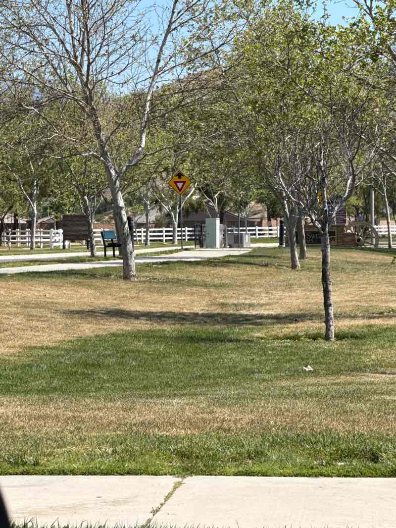 walking near me in McSweeny Park in spring
