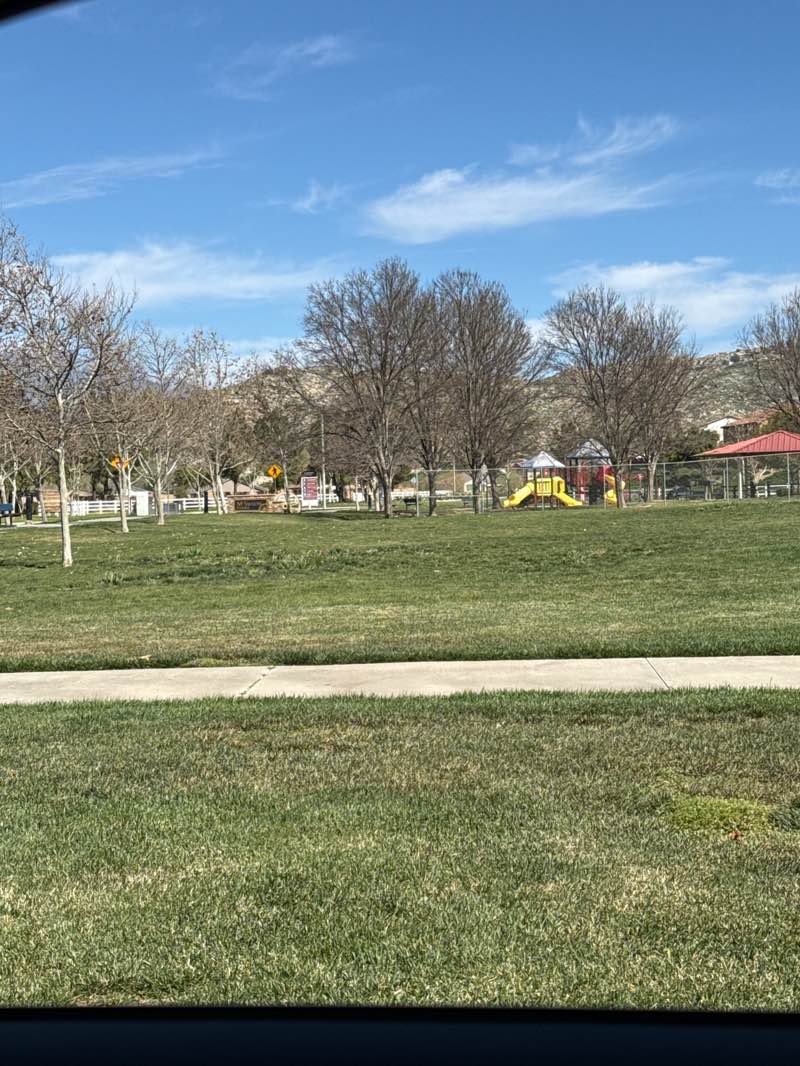 walking near me in McSweeny Park in spring