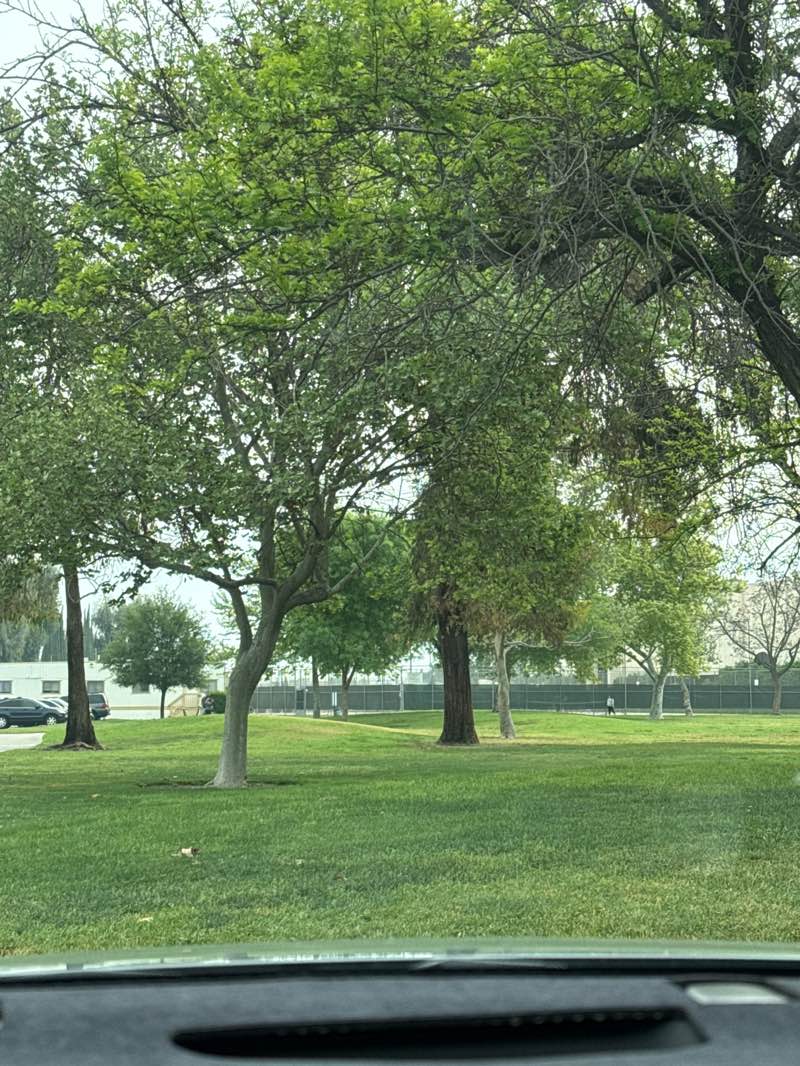 walking near me in Valley Wide Regional Park in spring