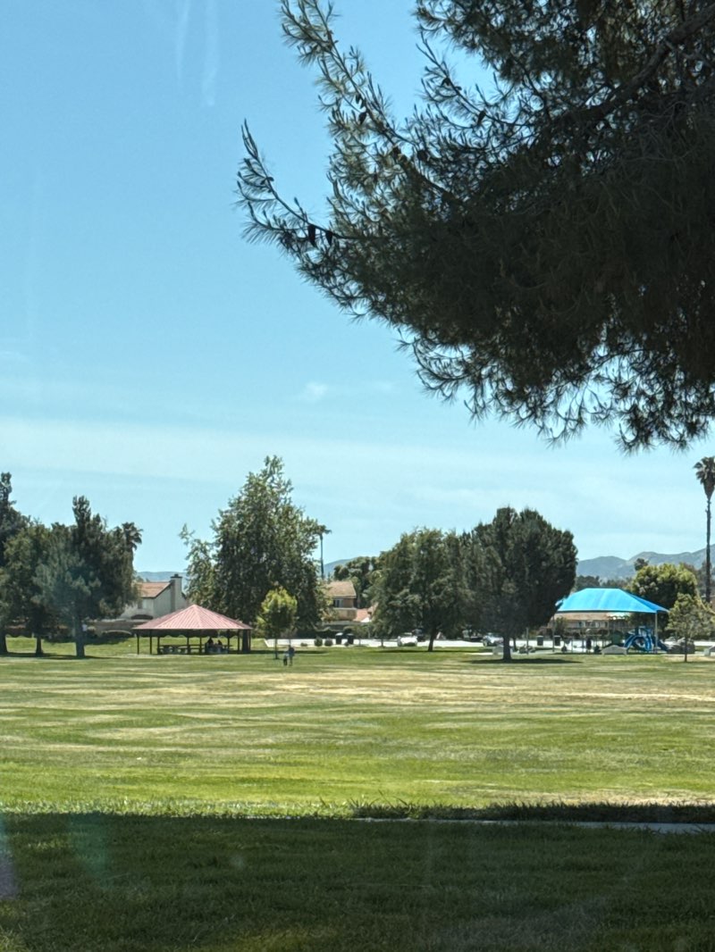 walking near me in Mary Henley Park in spring