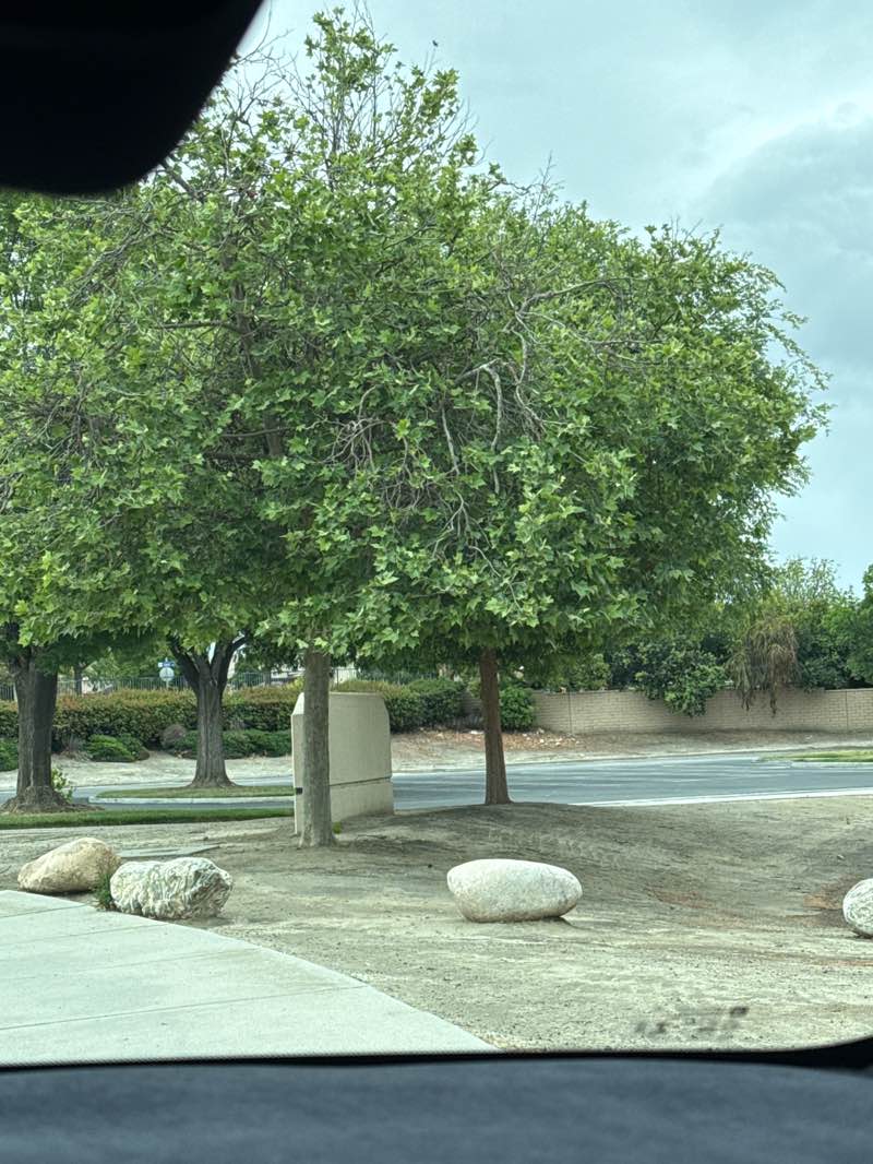 walking near me in Jerry Searl Youth Sports Park in spring