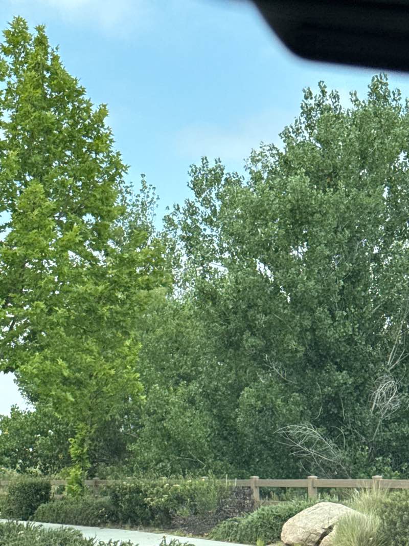 walking near me in Spirit Park in summer