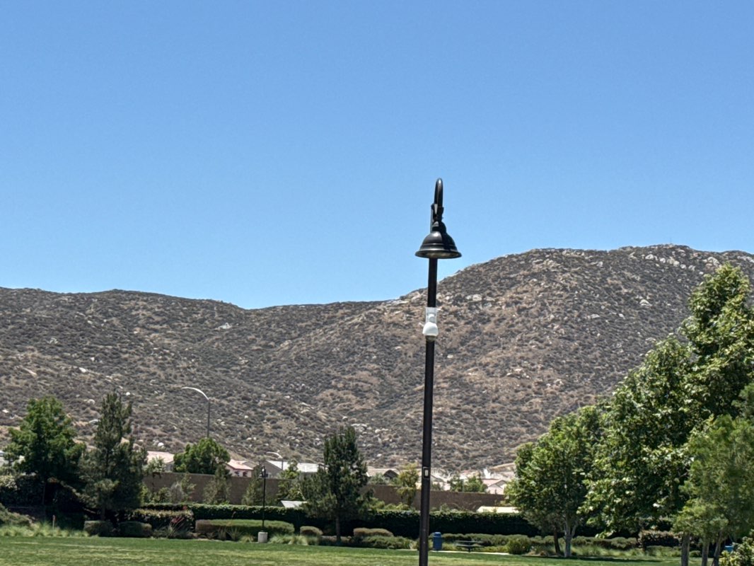walking near me in Conestoga Park in spring