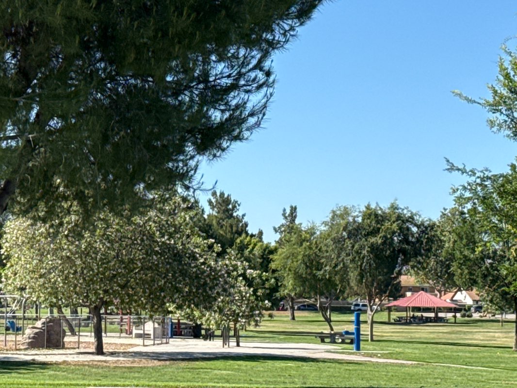 walking near me in Mary Henley Park in summer