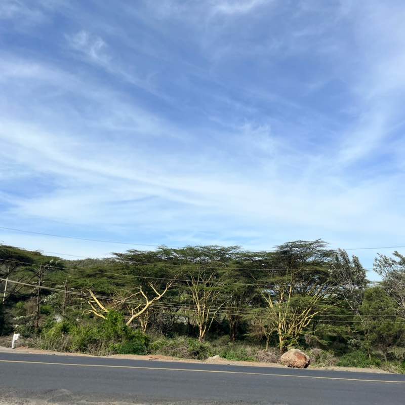 Delicate_Olga❤️🇺🇦😘 post 3