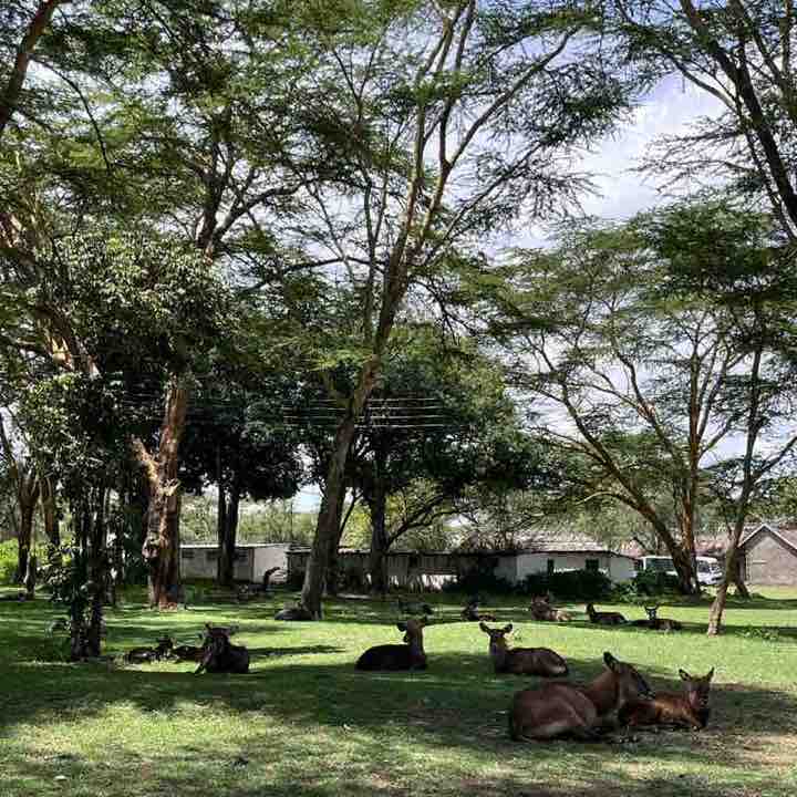 Delicate_Olga❤️🇺🇦😘 post 1