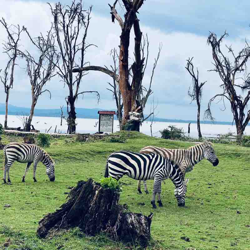 Delicate_Olga❤️🇺🇦😘 post 2