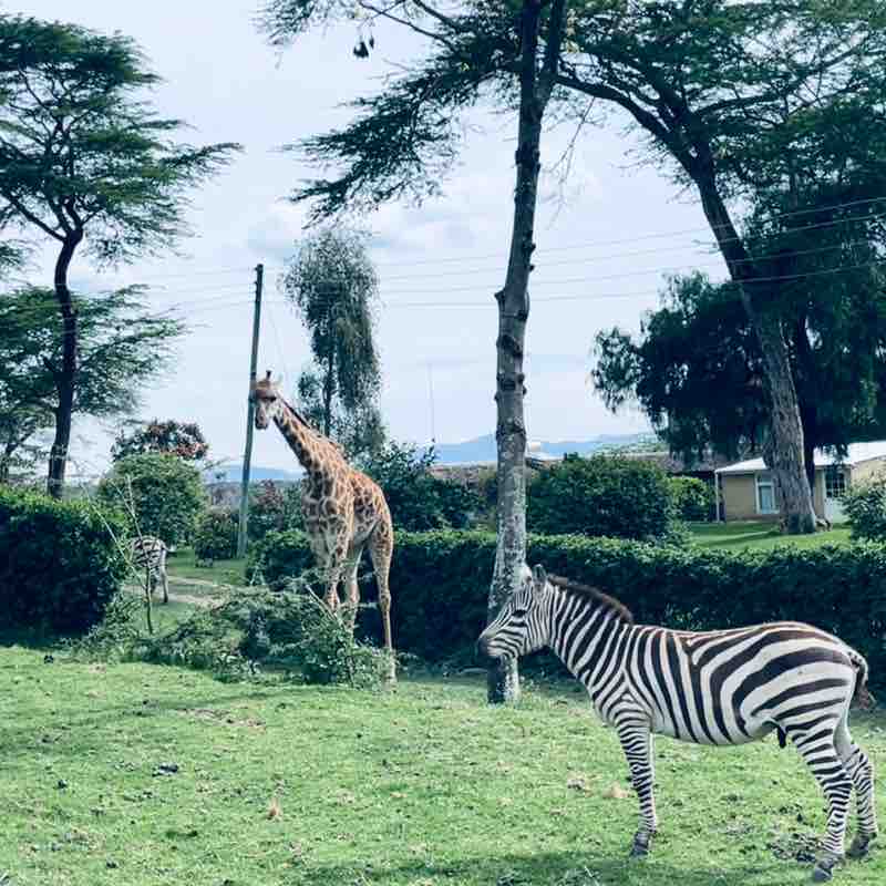 Delicate_Olga❤️🇺🇦😘 post 1