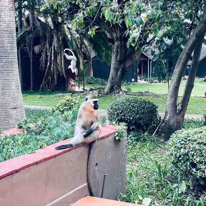 Delicate_Olga❤️🇺🇦😘 post 3