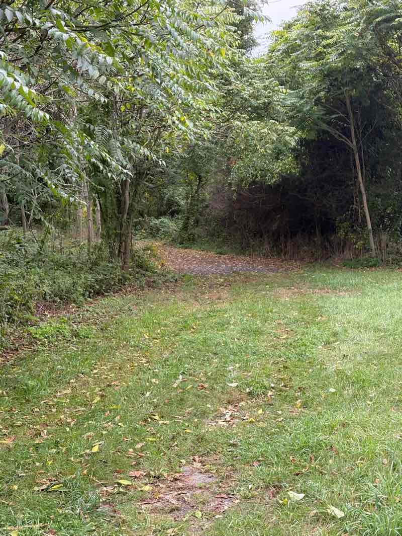 walking near me in Village Street Conservation Area in autumn