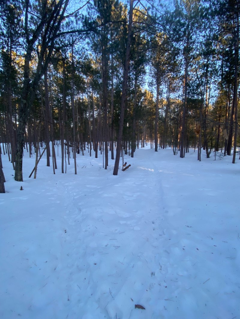 walking near me in Presque Isle Park in winter