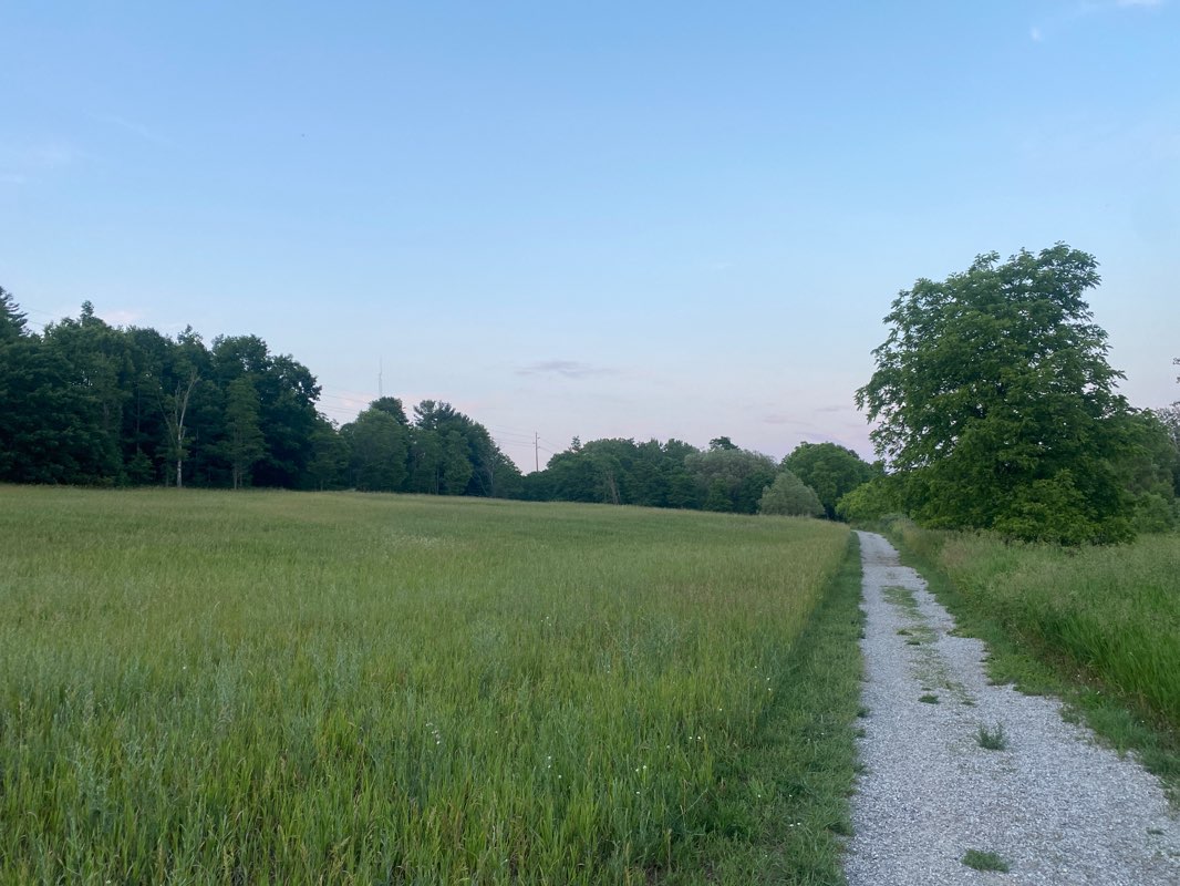 walking near me in Sunset Park in winter