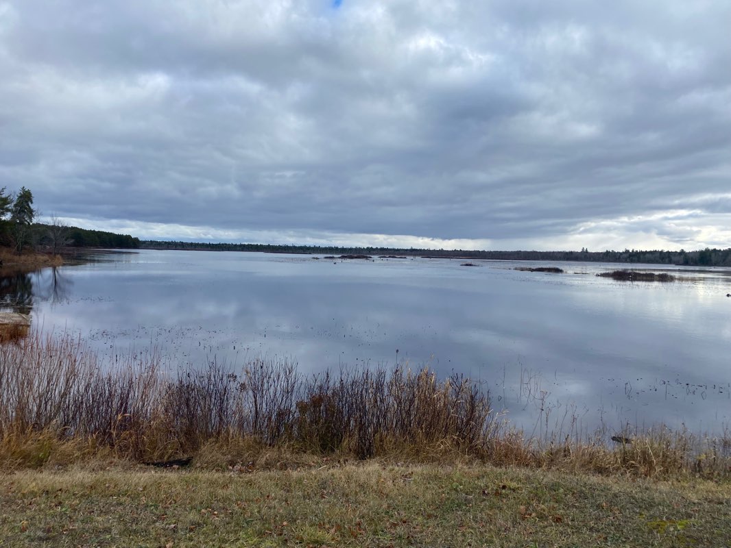 walking near me in Escanaba River State Forest - Gwinn Unit (Temp) in winter