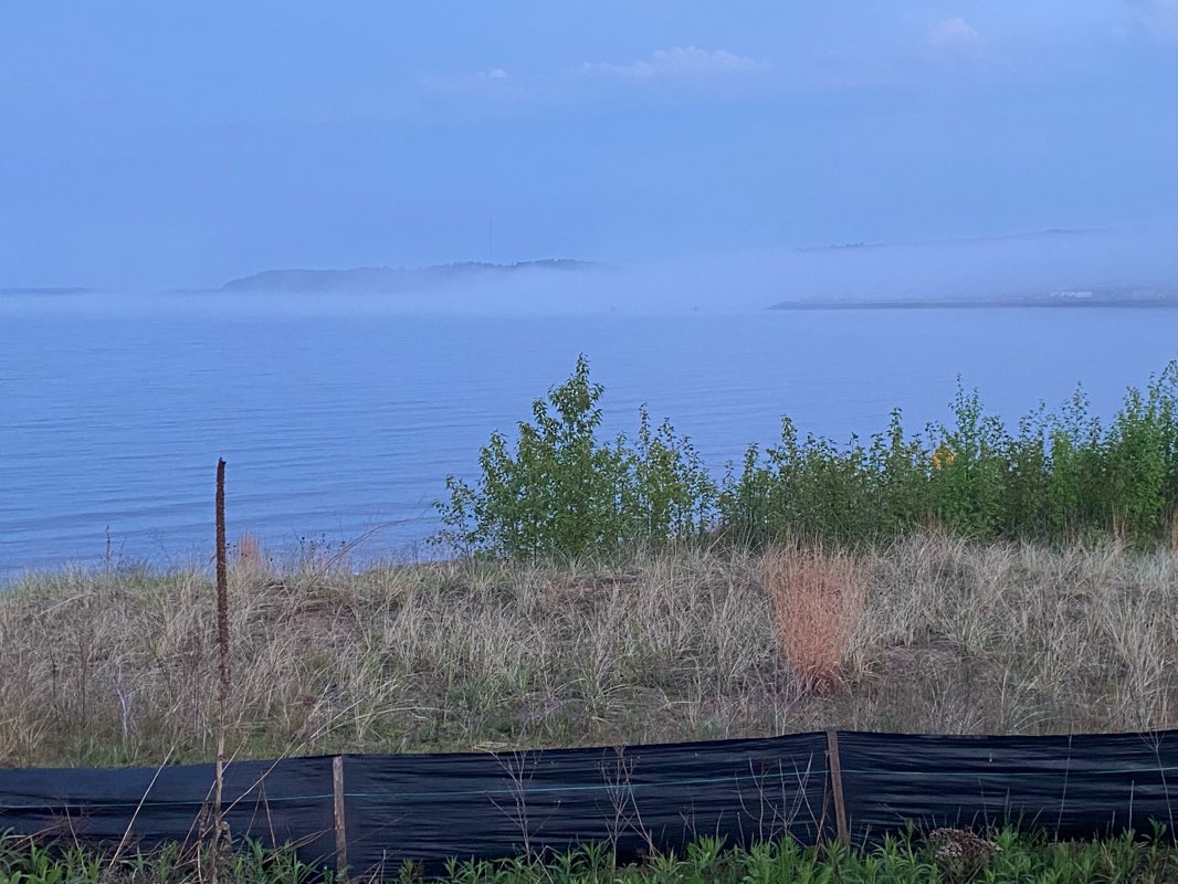 walking near me in Spring Street Park in winter