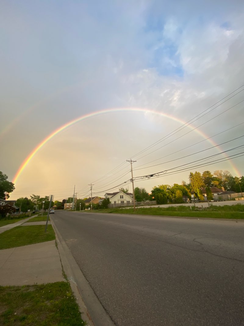 walking near me in Williams Park in winter