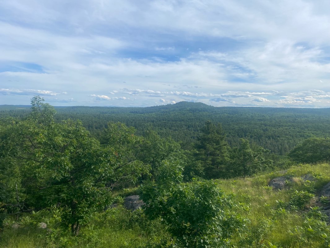 walking near me in Escanaba River State Forest - Gwinn Unit (Temp) in winter