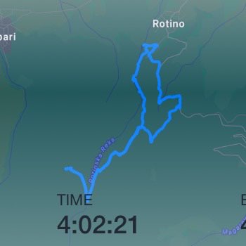 10K Every Day Senator post image