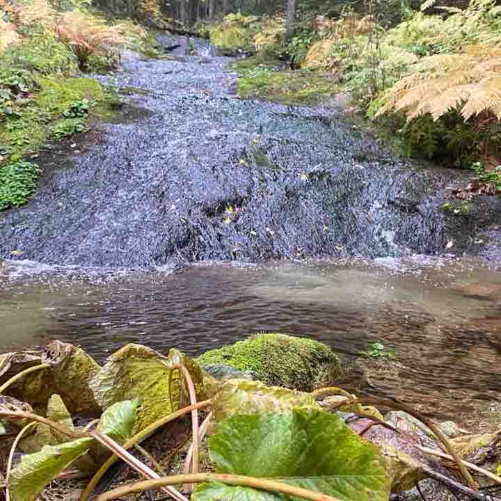 10K Every Day Senator post image