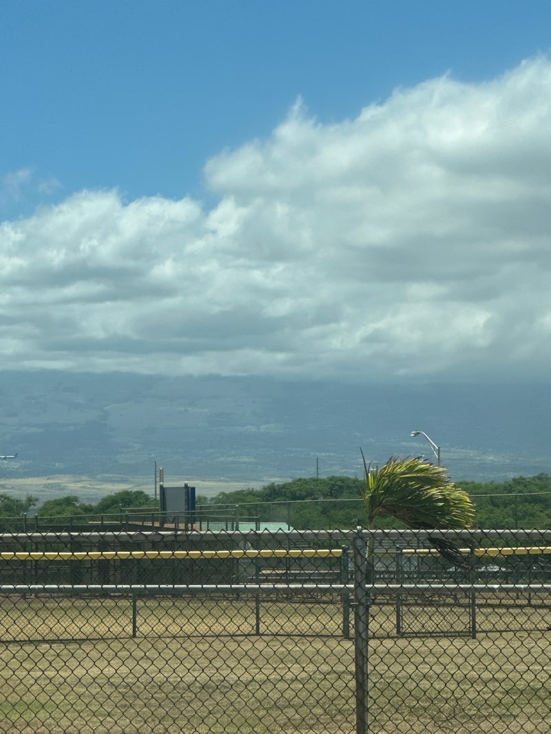 walking near me in War Memorial Complex in summer