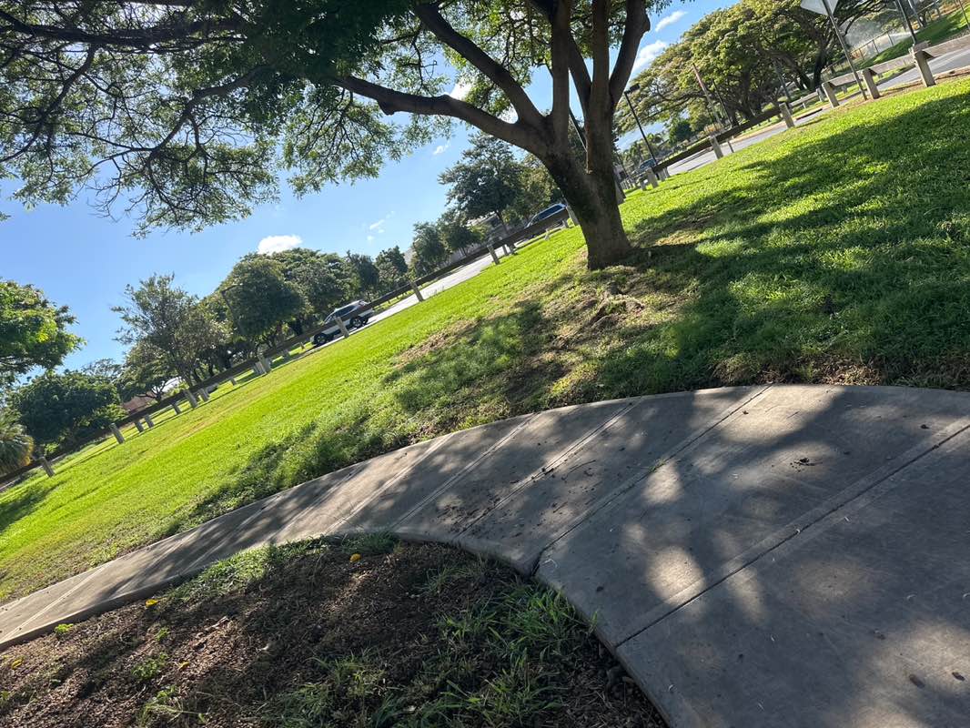 walking near me in South Maui Community Park in summer