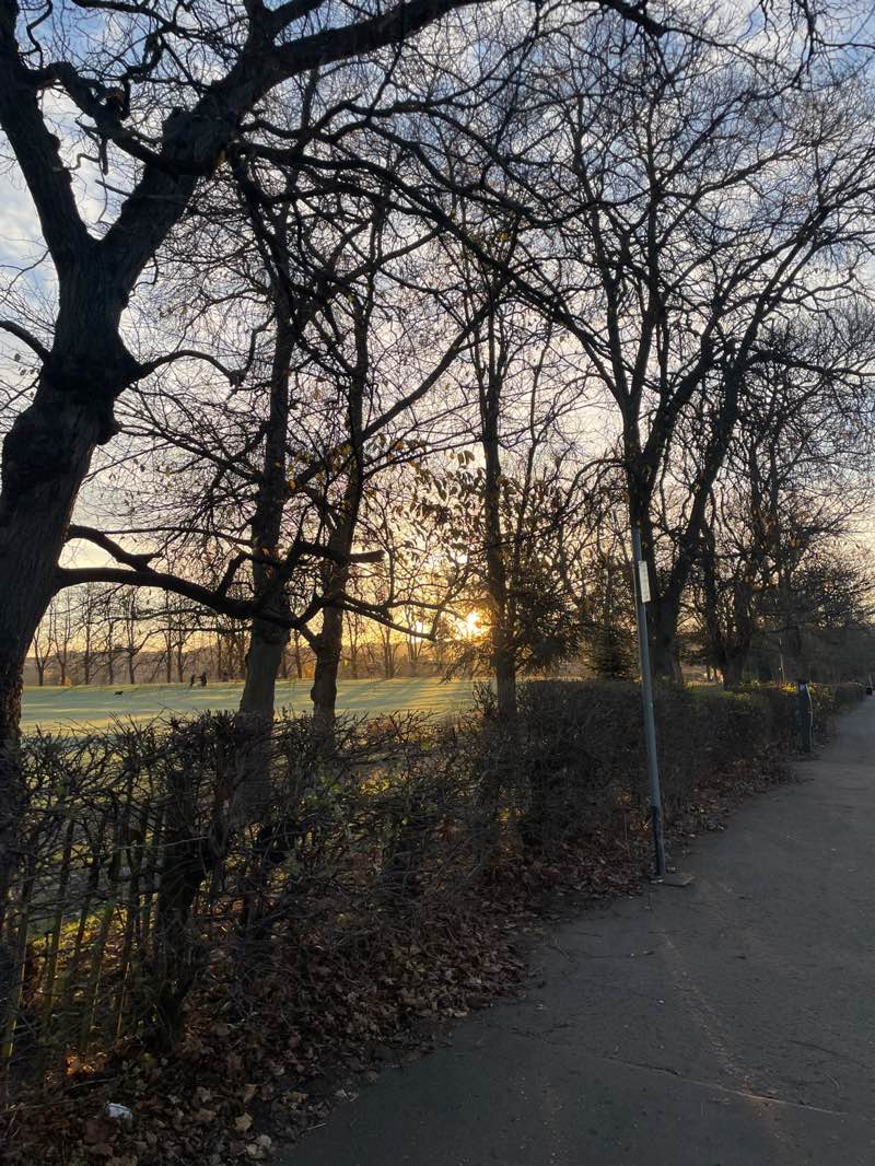 walking near me in Inverleith Park in autumn