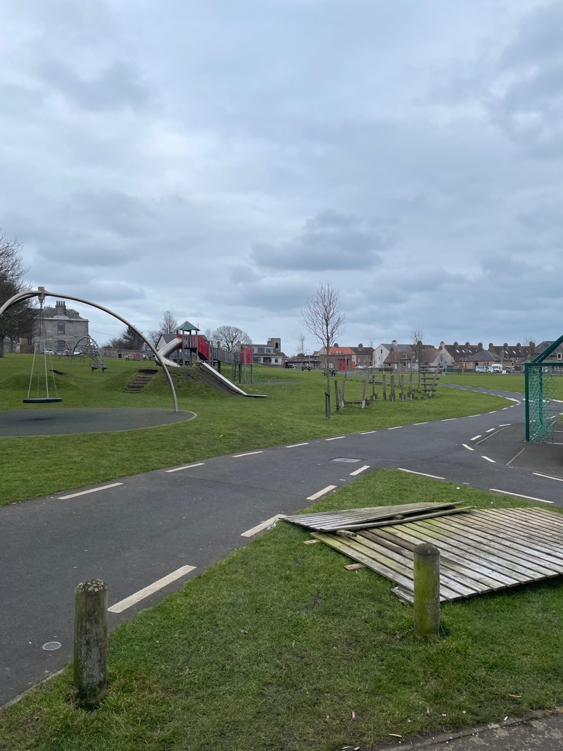 walking near me in Bankie Park in winter