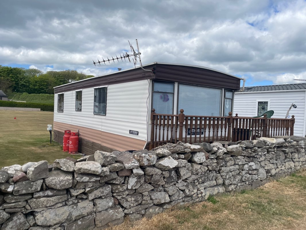 walking near me in Wairds Park in spring