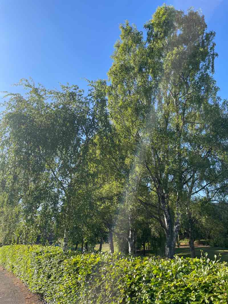 walking near me in East Greens in spring