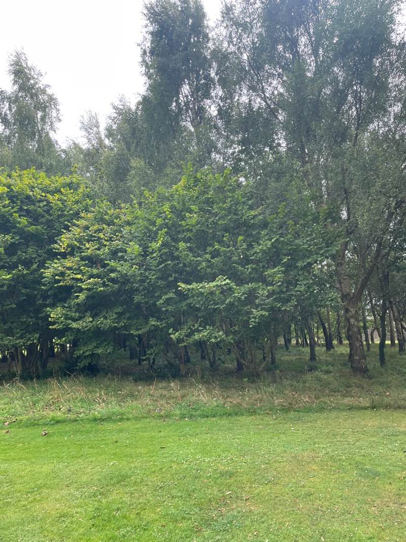 walking near me in Market Muir in autumn