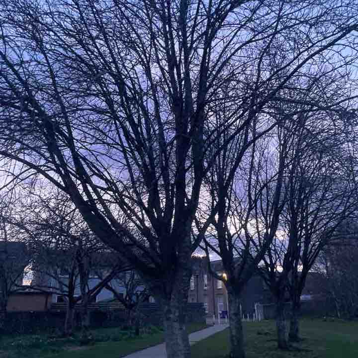 Robin 🏴󠁧󠁢󠁳󠁣󠁴󠁿🇬🇧 post 1