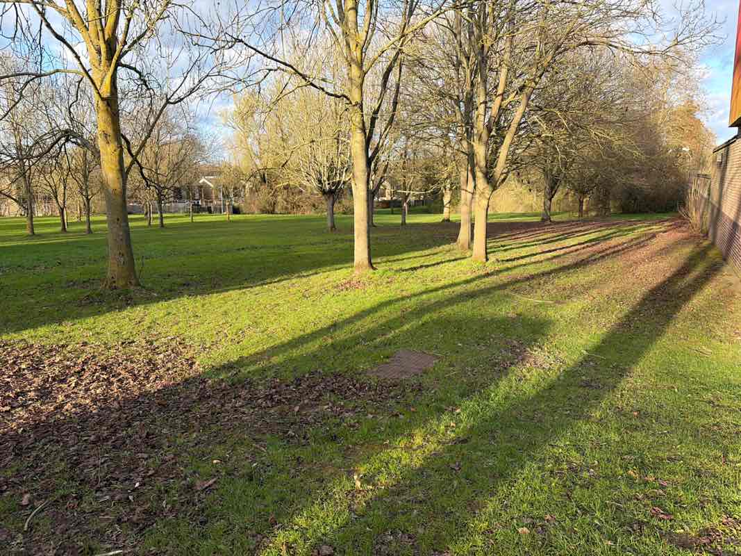 walking near me in Lumbertubs Park in spring