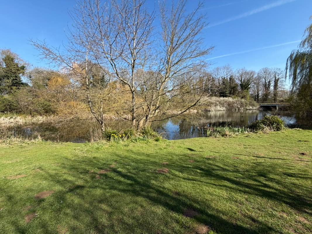 walking near me in Langlands Open Space in spring