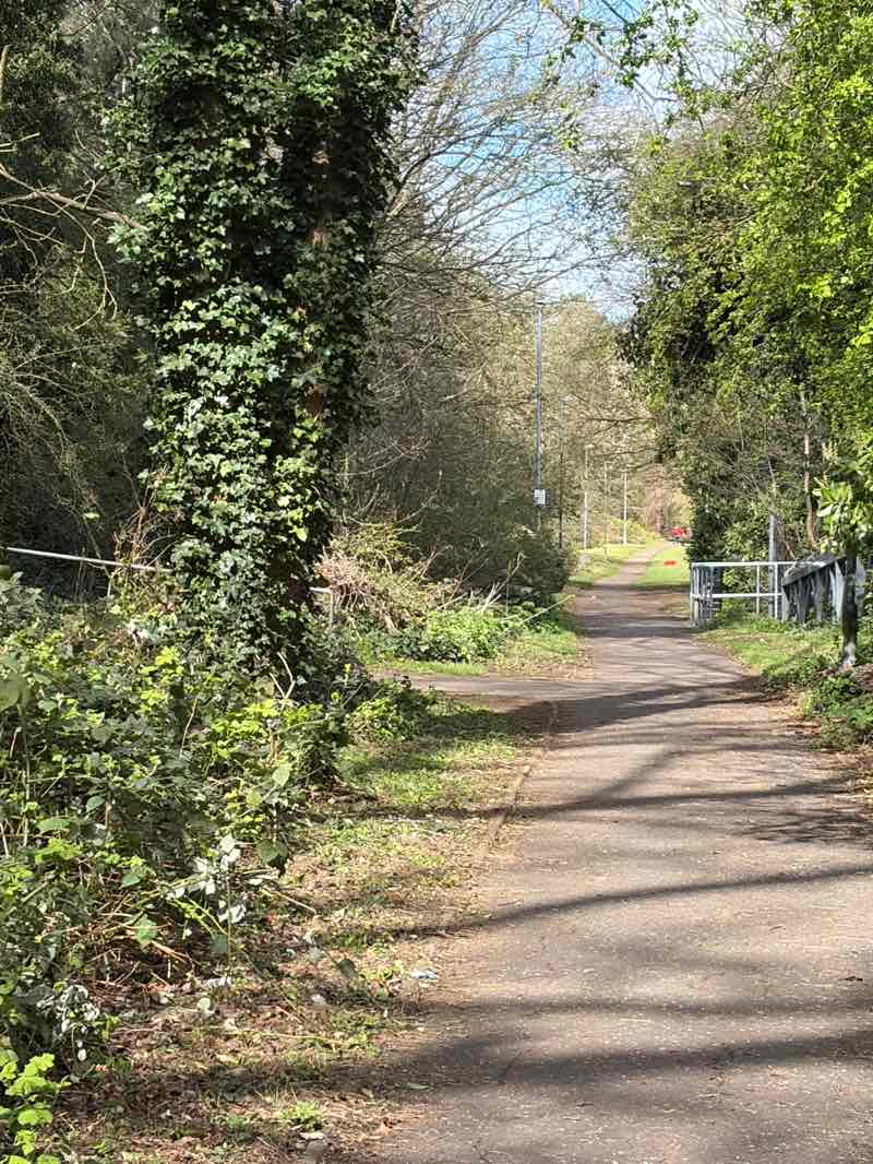 walking near me in Grassmere Avenue Linear Open Space in spring