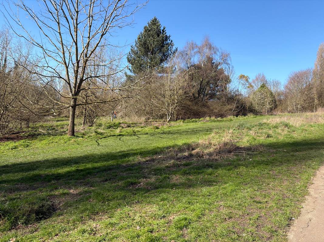 walking near me in Bradlaugh Fields in spring