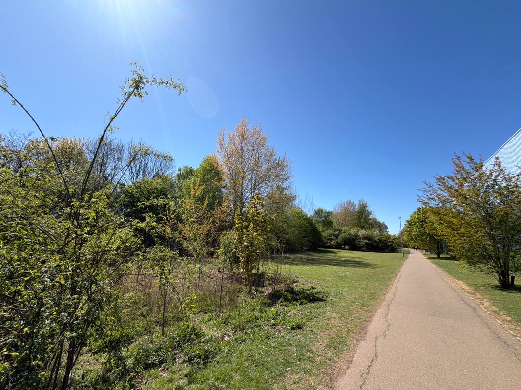 walking near me in Bradlaugh Fields in spring
