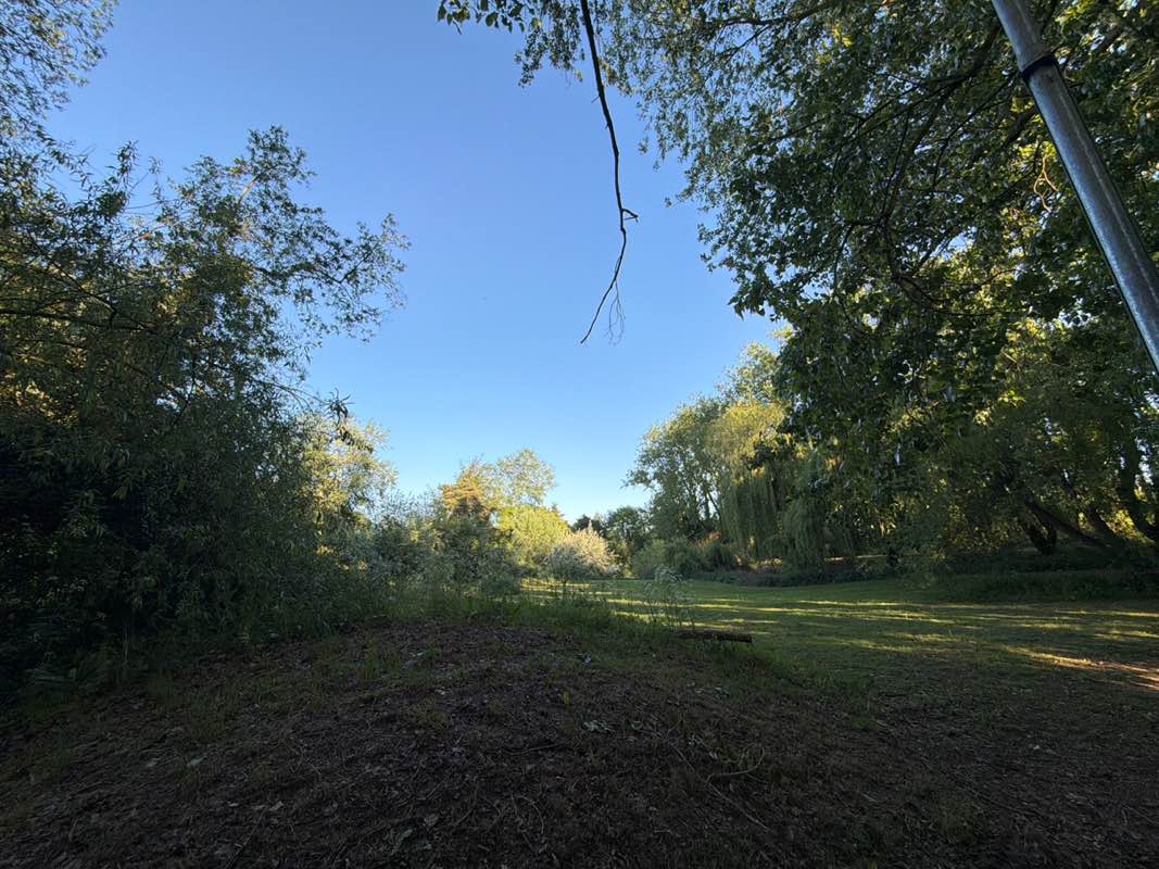 walking near me in Manorfield Road Open Space in spring