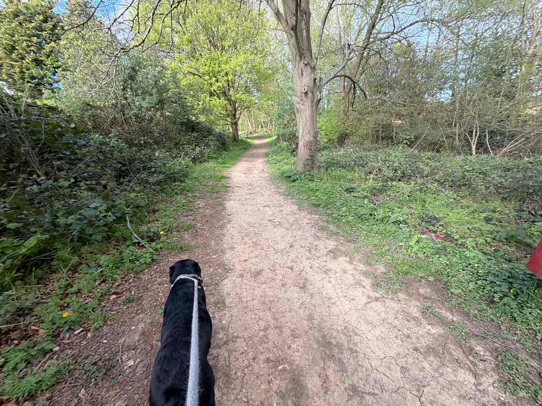 walking near me in Ecton Brook Linear Park in spring