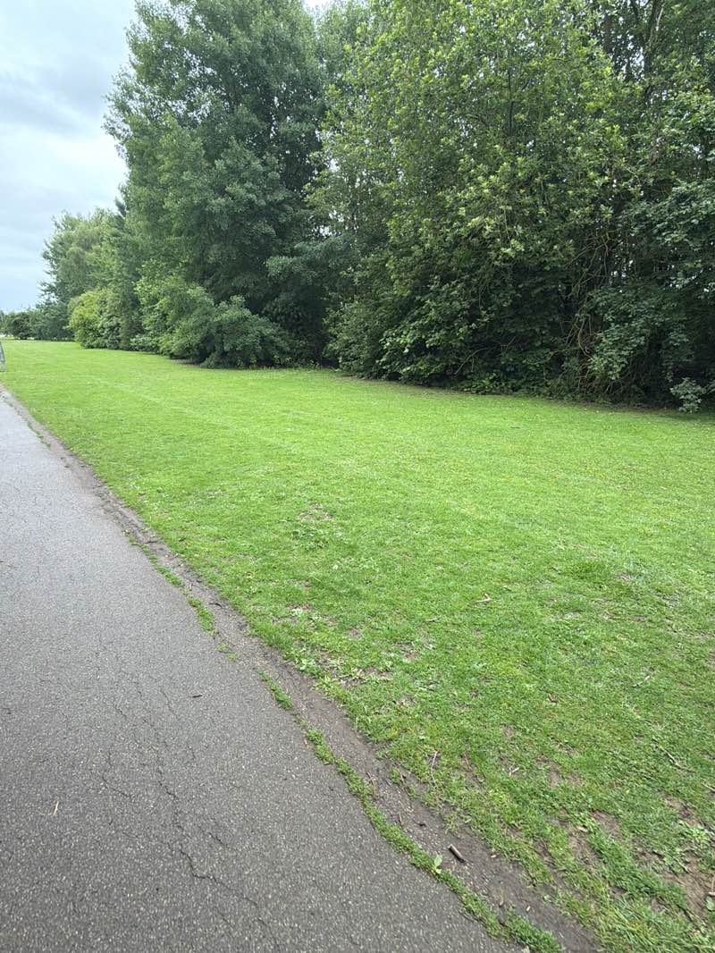 walking near me in Bradlaugh Fields in summer