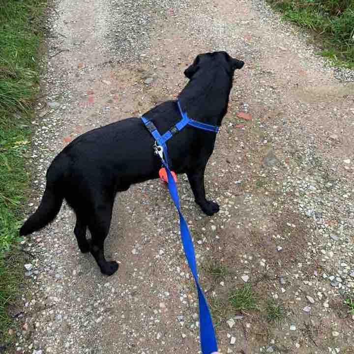 ⚜️ Gabri ⚜️ post 2