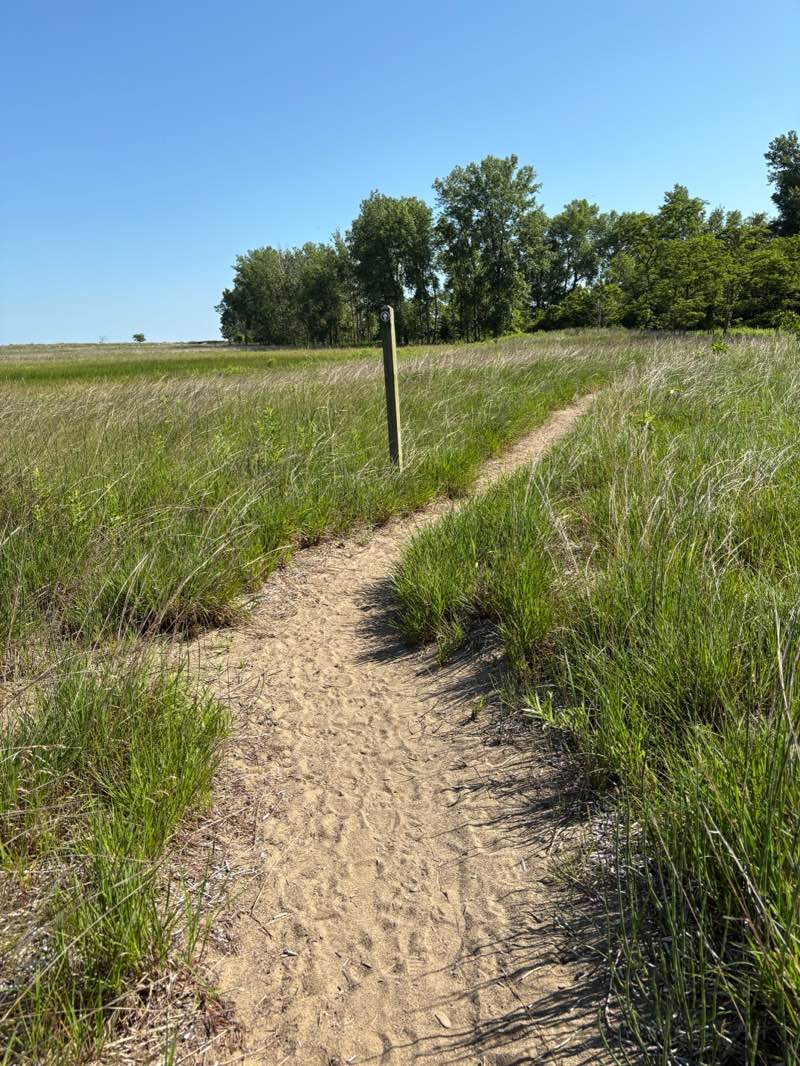 walking near me in Headlands Beach State Park in summer