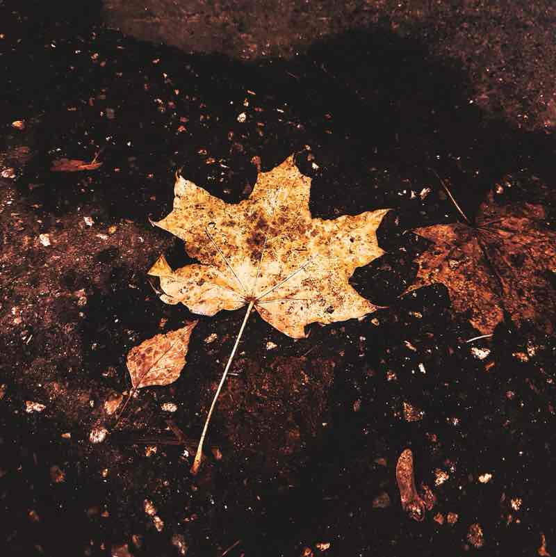 Вместе 🫶🏻 Розовый пончик post image