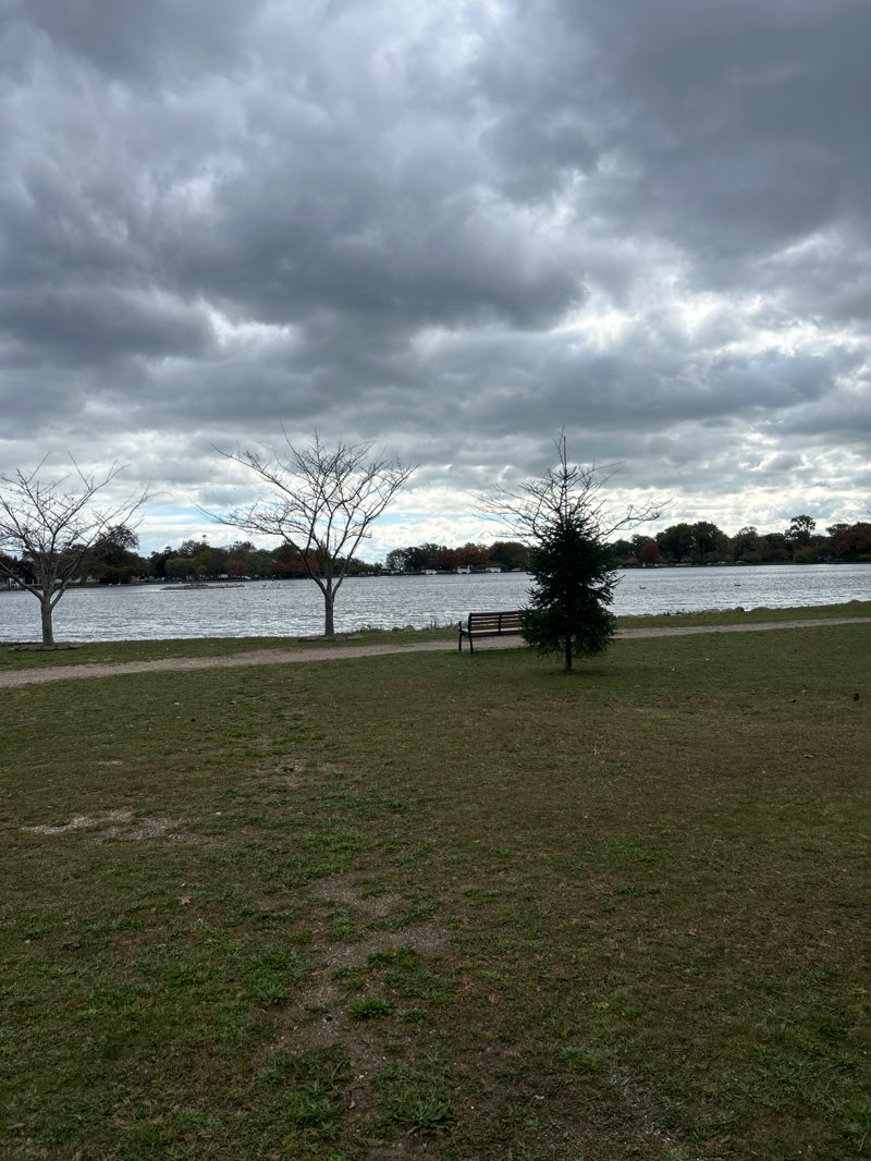 walking near me in Argyle Park in autumn