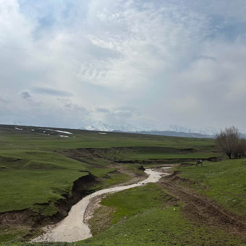 Aitugan Kapparov post 3