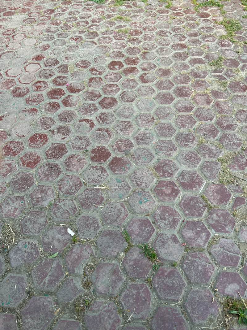 walking near me in Children Park in winter