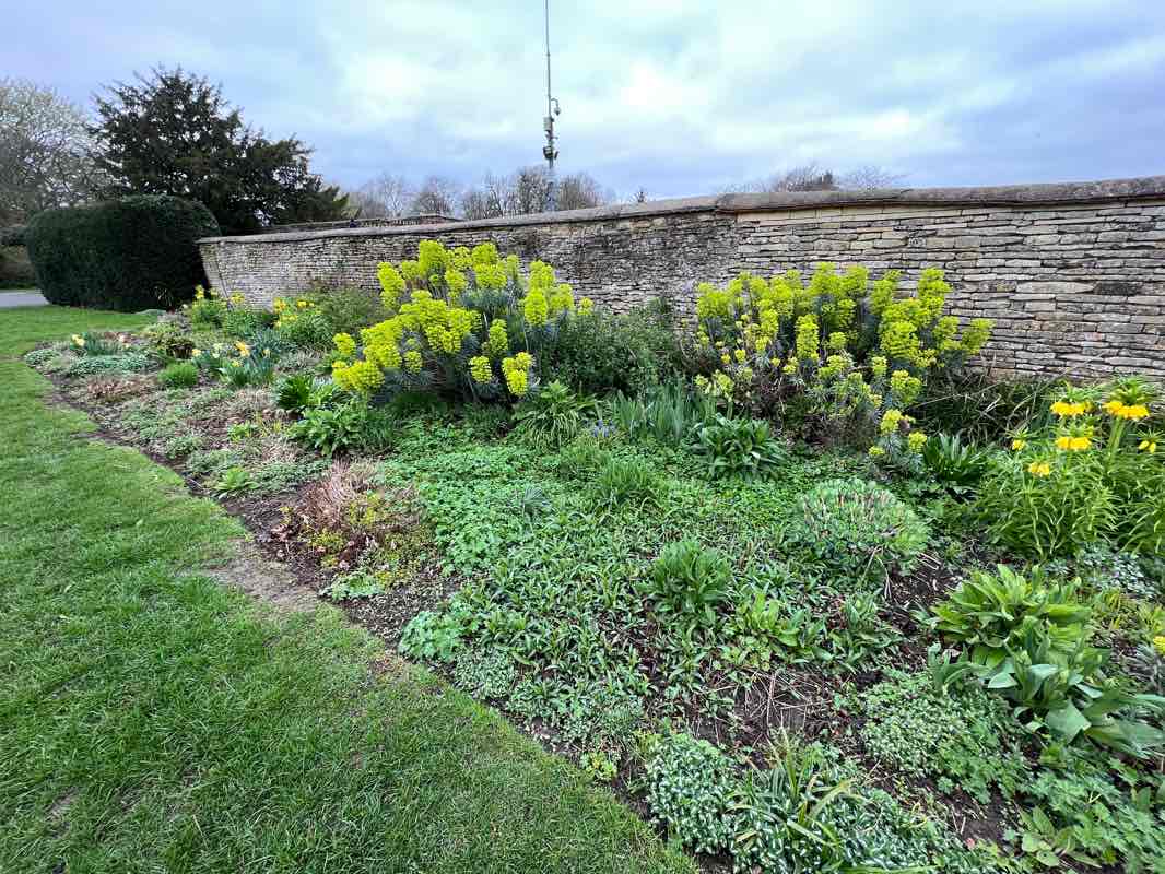 walking near me in Manor Park in winter