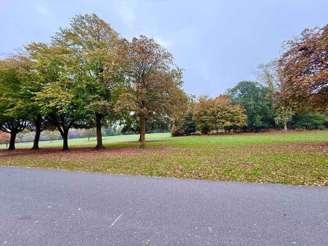 walking near me in Hall Park in autumn
