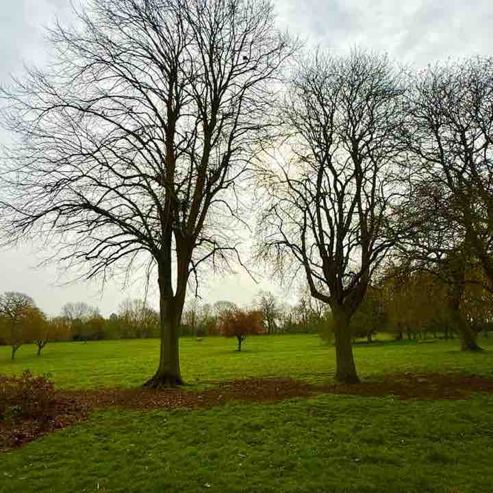 Jim fae Rushden🏴󠁧󠁢󠁳󠁣󠁴󠁿🏴󠁧󠁢󠁳󠁣󠁴󠁿 post 1