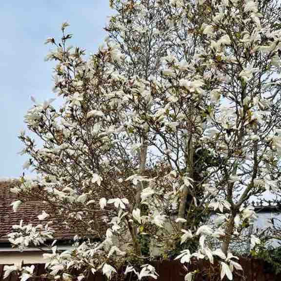 Jim fae Rushden🏴󠁧󠁢󠁳󠁣󠁴󠁿🏴󠁧󠁢󠁳󠁣󠁴󠁿 post 2