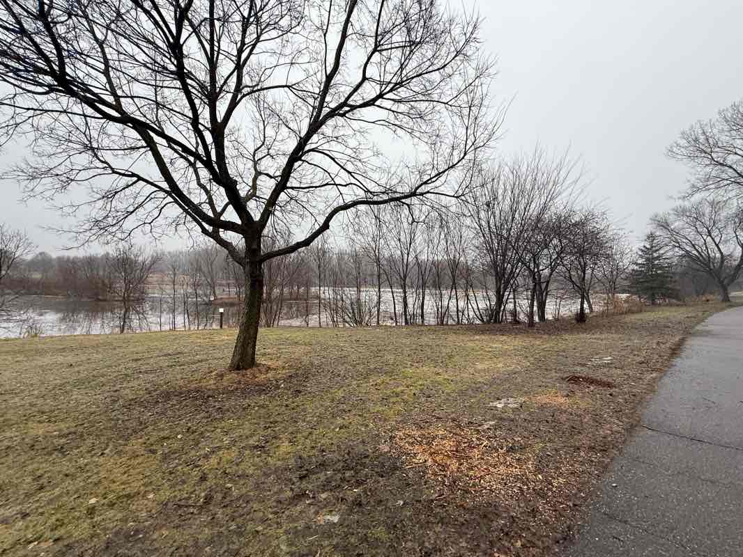 walking near me in Bassett Creek Park in spring