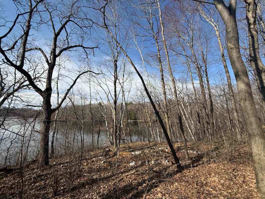 walking near me in Lebanon Hills Park in spring